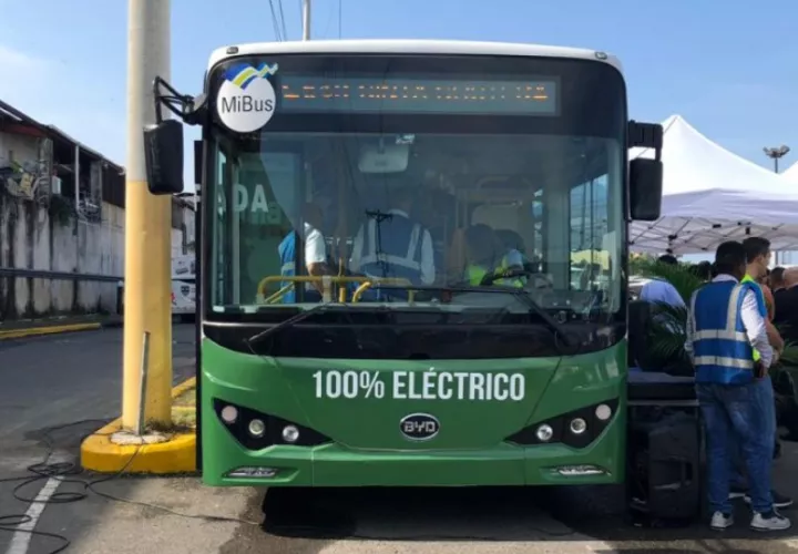 Se espera que en agosto se realice una licitación para la compra. Foto: Mi Bus
