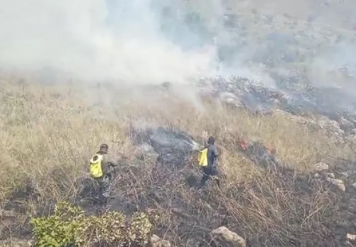 En la provincia de Coclé, esta entidad gubernamental mantiene en pie la recompensa de $3,000.00 para quien brinde información sobre los responsables de este crimen contra el ambiente. Foto. Cortesía