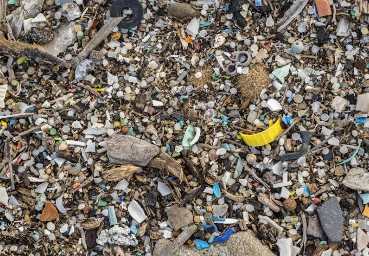 Estos hallazgos ponen de relieve una consecuencia del incremento de las concentraciones globales de plásticos ambientales. Foto: EFE