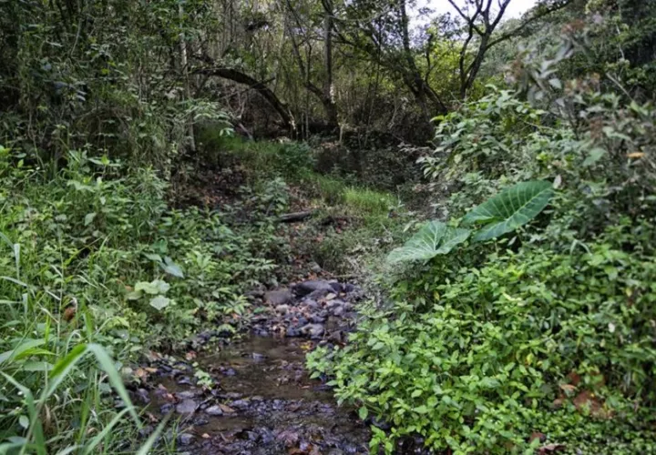 Vista de una cuenca con escasa agua en Honduras. Foto: EFE
