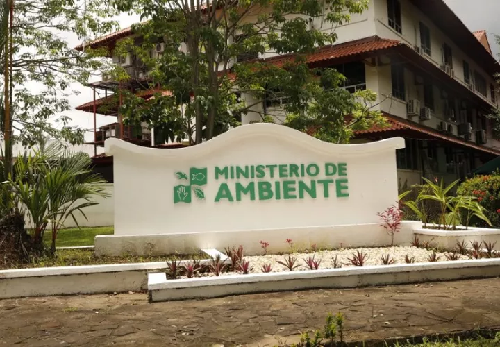 MiAmbiente aboga por volver al trabajo de campo. Foto: Cortesía