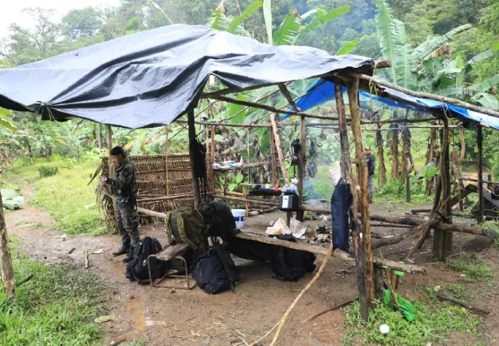 Durante la Operación Caribe III,  fueron detenidas cinco personas entre ellas un colombiano en el Parque Nacional Chagres. Foto. MiAmbiente