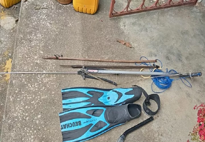 A los infractores les confiscaron dos especies de fauna marina, así como el equipo utilizado para esta actividad, que consistía en arpones, una máscara y un par de chapaletas. Foto. Cortesía. MiAmbiente
