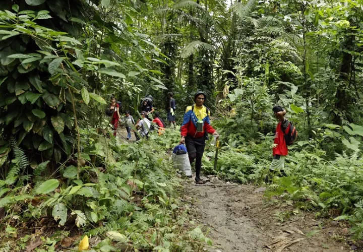 Los migrantes tendrán un salvoconducto por 72 horas. Foto: EFE
