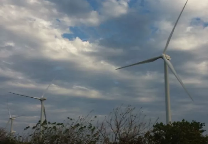 La contratación de energía renovable busca asegurar mejores precios.