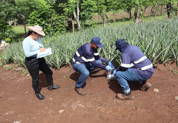 Equipo de investigación en el trabajo de campo. Foto: Cortesía/  UTP