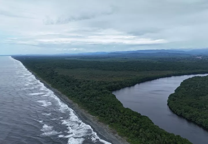 El Parque Nacional San San Pond Sack comprende una superficie total de 37,841 hectárea. Foto: Cortesía