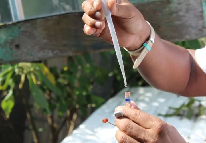 Es importante la eliminación de criaderos de mosquitos. Foto: Archivo