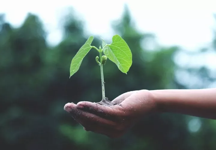 El lema destaca el papel fundamental que juegan las personas en la defensa del medio ambiente. Foto: Pexels