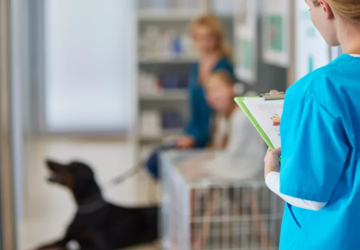 Será el primer hospital veterinario público. Foto: Ilustrativa / Freepik