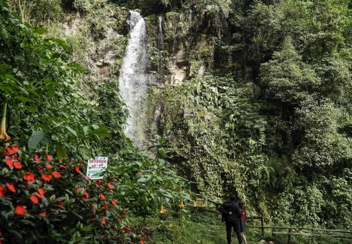 En Boquete se pueden recorrer rutas especializadas para observar aves, entre las cuales destaca el llamativo ‘quetzal’. Foto:  Aleksandar Popovski/Unsplash