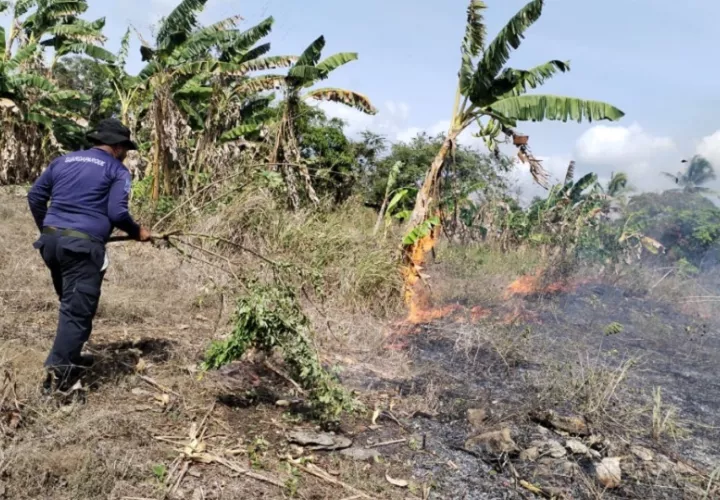 Hasta este último reporte se registraron cuatro incendios de masa vegetal. Foto: Cortesía