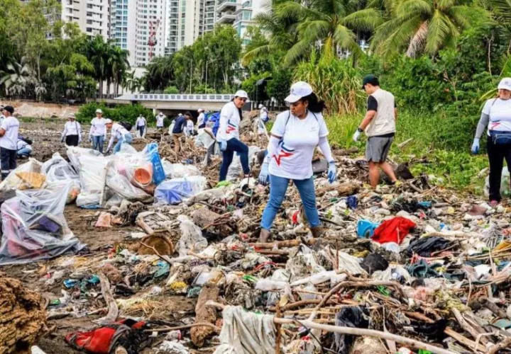Recolección de basura en el área del Mirador de las Aves. Foto: Cortesía