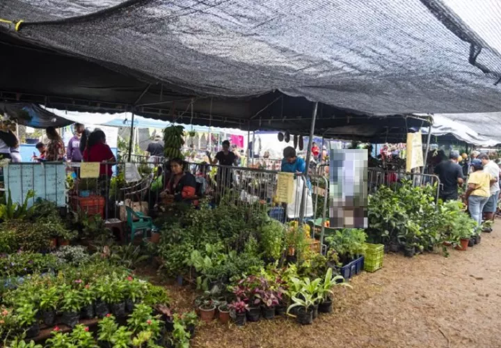 Este año unos 100 expositores se han dado cita para esta feria de las flores. Foto. Eric Montenegro 