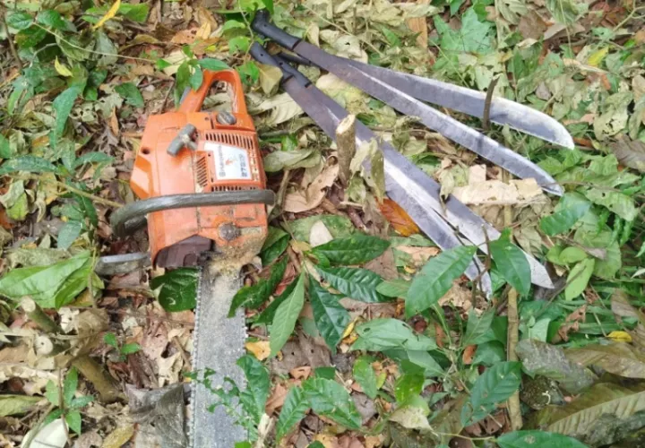 Se incautaron una motosierra y cuatro machetes. Foto: Cortesía / MiAmbiente