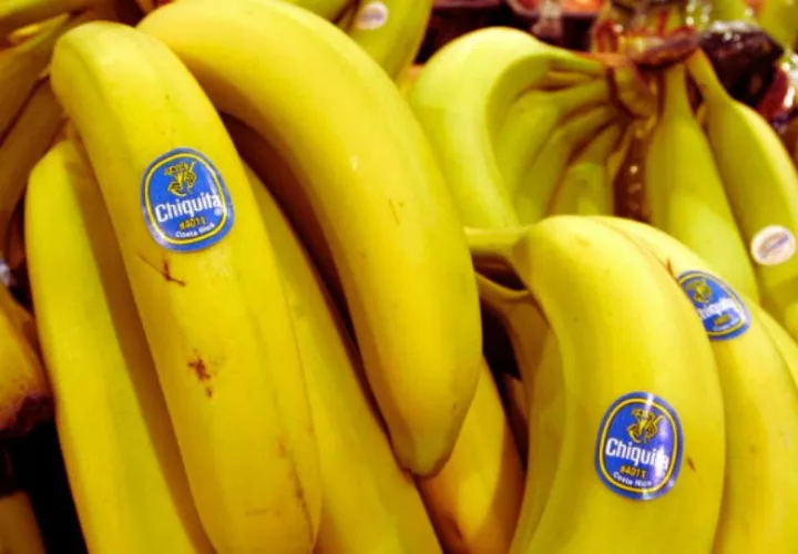 Producción de banano. Foto: Archivo