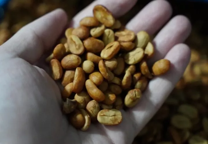 Café panameño es apreciado a nivel mundial. Foto: Cortesía. 