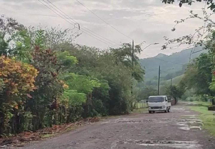 La medida adoptada por la empresa eléctrica de podar los árboles próximos al tendido eléctrico no ha dado el resultado esperado. Foto. Eric Montenegro