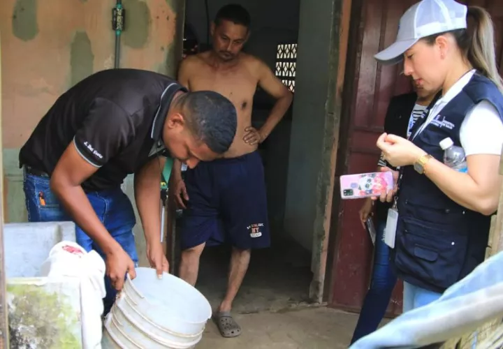 Se recomienda evitar los criaderos de mosquitos. Foto: Cortesía