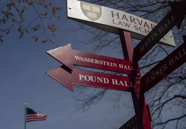 Trump  le prohibió a Harvard matricular a estudiantes extranjeros. Foto: E