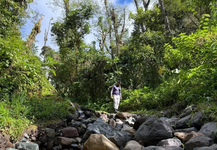 En cuanto al acceso general al Parque Nacional Volcán Barú, este se mantiene abierto para los visitantes, salvo que el Sistema Nacional de Protección Civil (Sinaproc) determine otra medida. Foto. Cortesía MiAmbiente