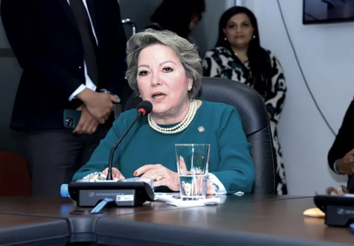María Eugenia López Arias compareció ante la Comisión de Presupuesto. Foto: Asamblea Nacional