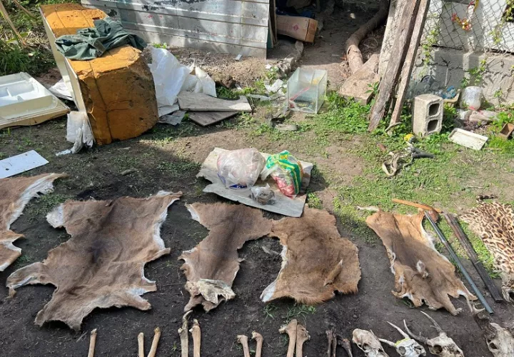 El director regional de MiAmbiente, en la provincia de Coclé, John Trujillo, informó que se iniciarán los procesos administrativos y penales. Foto. Mi Ambiente