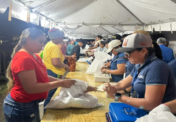 Panameños comprando en una agroferia del IMA: Foto: Archivo.