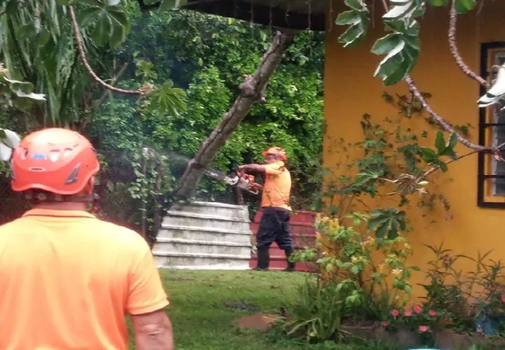 Una de las viviendas afectdas en Veraguas por la caída de un árbol. Foto. Sinaproc