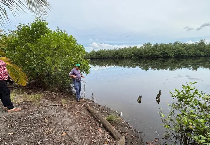 Expertos de MiAmbiente realizaron una serie de evaluaciones sobre la mortandad de peces. Foto. MiAmbiente