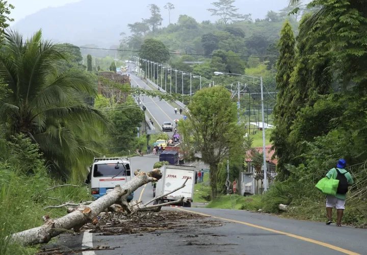 Apertura de vías podría demorar al menos cuatro días. Foto: EFE