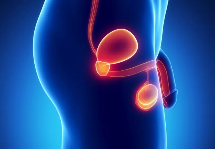 En fases iniciales, este cáncer tiene una alta probabilidad de cura. Foto: Cortesía