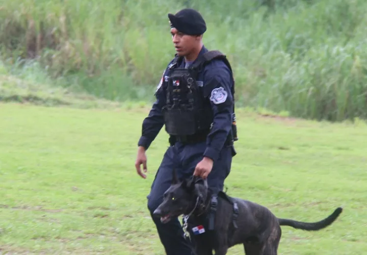 También adquirieron conocimientos en primeros auxilios para caninos y compañeros humano. Foto: Diómedes Sánchez