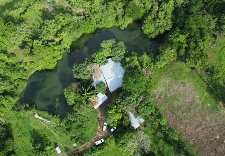 Las fincas porcinas con puntos críticos de contaminación. Foto: Cortesía