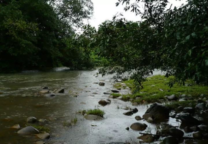 Entre los trabajos sugeridos están el control de los olores, lixiviados y construcción de cerca perimetral o barrera natural, y la eliminación de basura en las inmediaciones de la quebrada El Colmón. Foto. Archivo