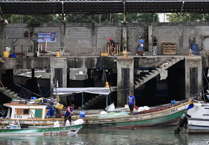 Pescadores en su faena diaria. Foto: EFE