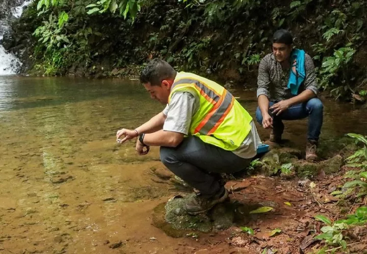 Existen cinco expedientes adicionales en investigación, entre ellos a Finca Luis Martínez; Central de Engorde, S.A.; Porcinalanda, S.A.; Lechería Medrano; Finca Porcina Nobel Samaniego; y Lechería Barría. Foto. Thays Domínguez