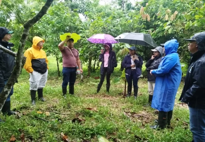 Gira técnica en la provincia de Bocas del Toro. Foto: Cortesía. 