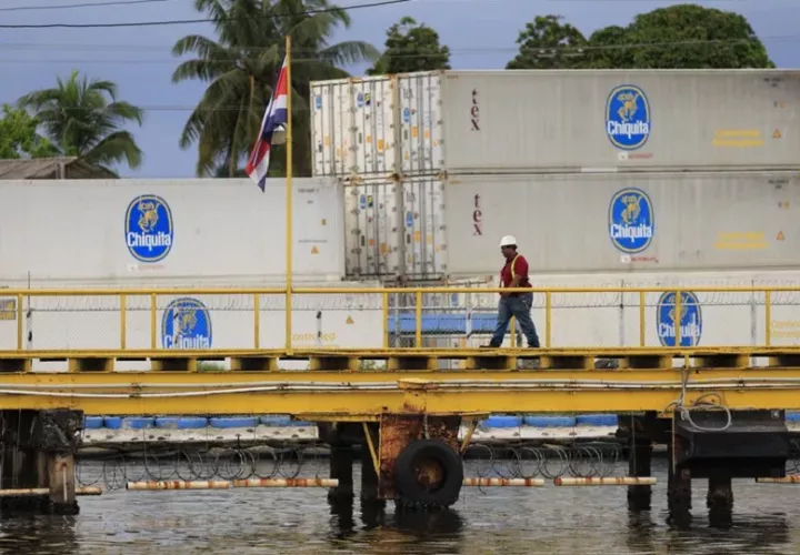 La paralización afectó directamente las operaciones en las plantaciones bananeras. Foto: EFE