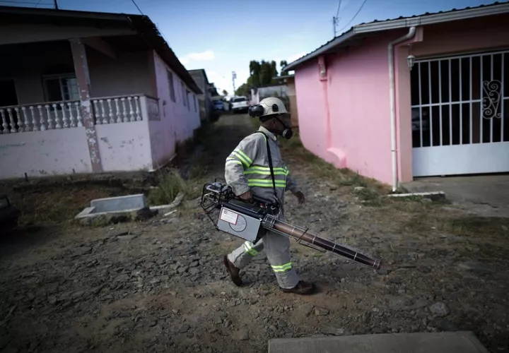 La co-circulación de los cuatro serotipos de dengue en Panamá aumenta la ocurrencia de casos graves. Foto: EFE/ Bienvenido Velasco
