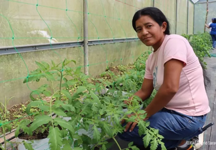 La inclusión productiva y social de la población registra avances. Foto: FAO