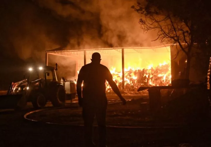 Bomberos y voluntarios combaten un almacén en llamas durante un incendio forestal en la aldea de Feneos, municipio de Corinto, Grecia. Foto: EFE