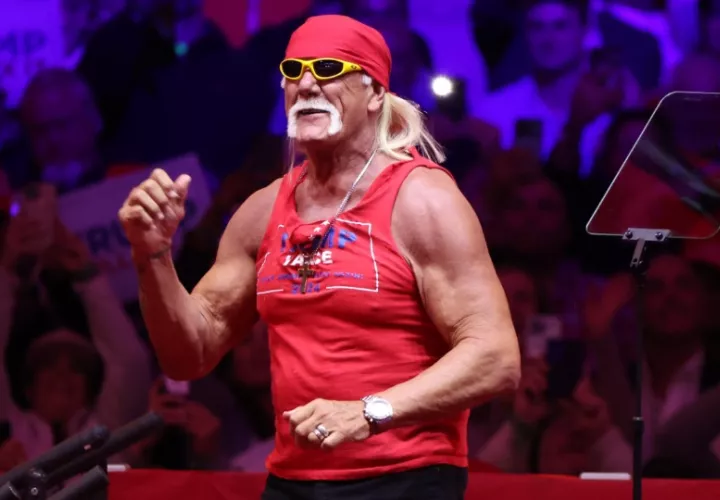 Hulk Hogan. Foto: EFE / Sarah Yenesel
