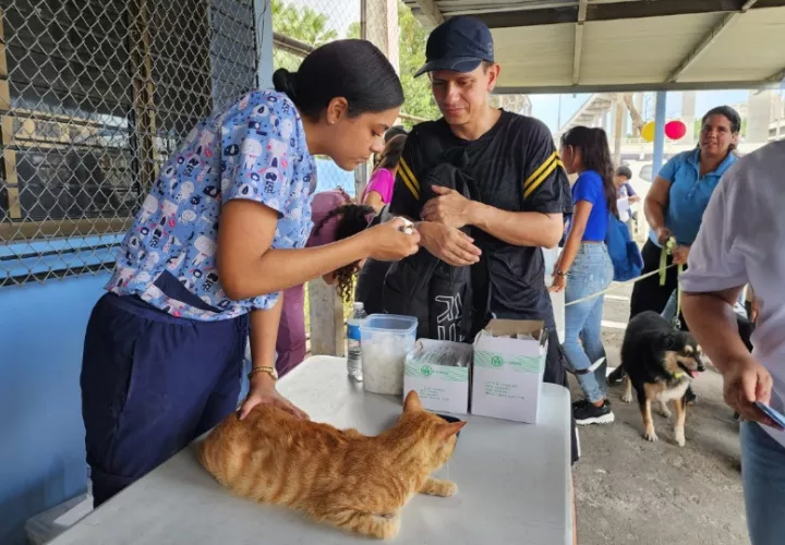 La atención veterinaria fue gratuita. Foto: Cortesía