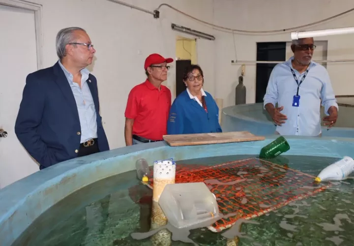Este laboratorio, que mantiene una estrecha colaboración científica con el Instituto Smithsonian de Investigaciones Tropicales. Foto. Cortesía. ARAP