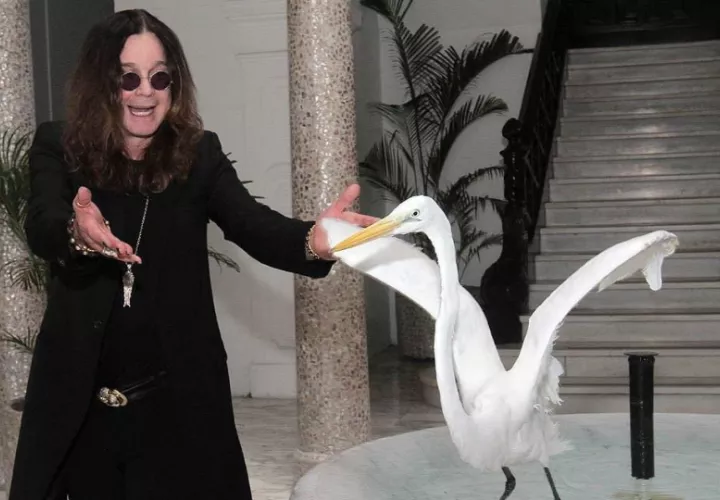 Ozzy Osbourne con una de las garzas del palacio. Foto: X / Ozzy Osbourne