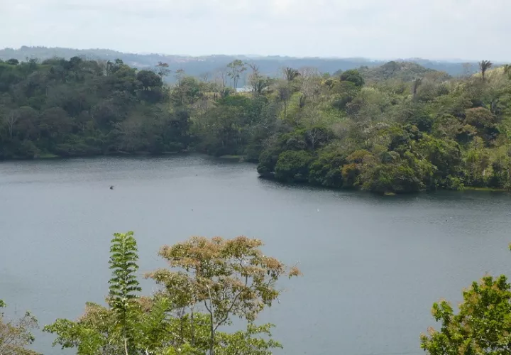 Este lago está situado a unos 26 metros sobre el nivel del mar, en el que pasan los barcos del Atlántico al Pacífico, en unos 33 kilómetros. Foto. Diómedes Sánchez