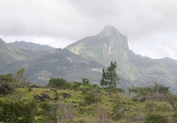 En Cirí Grande, corregimiento de El Cacao, entre las montañas de Capira, Cristina Sánchez de Miranda, una emprendedora turística, opera el restaurante “El Mirador”. Foto. Eric Montenegro