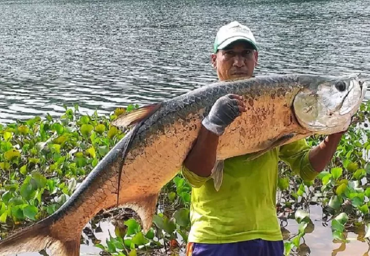 Hay  oportunidad de recorrer en lancha parte del lago Gatún y disfrutar la experiencia de la pesca deportiva. Foto. Eric Montenegro