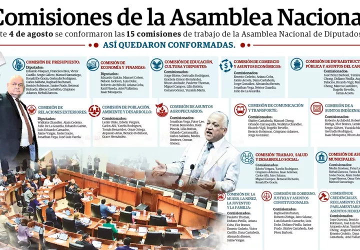 comisiones-asamblea-nacional.jpg